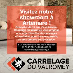 Découvrez Carrelage du Valromey à Artemare : 15 ans de passion au service de vos projets !