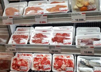 Bactérie E. coli dans l’Aisne : des boucheries mises en cause après des cas graves d’intoxication