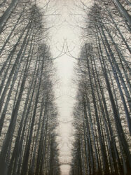 Olivier Vizzari et Jean-Christophe André reçoivent Arielle Aufkin : “Élévation”, une immersion artistique à l’Hôtel Le Grimaldi à Nice