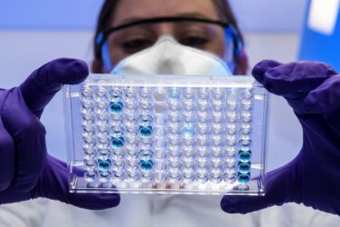 Un cas de hantavirus confirmé à Zurich : l&rsquo;OFSP rassure sur l&rsquo;absence de risque épidémique